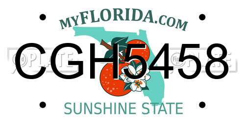 CGH5458 Florida License Plate