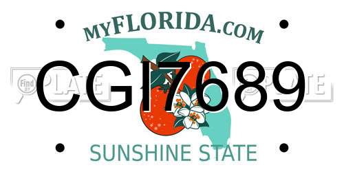 CGI7689 Florida License Plate