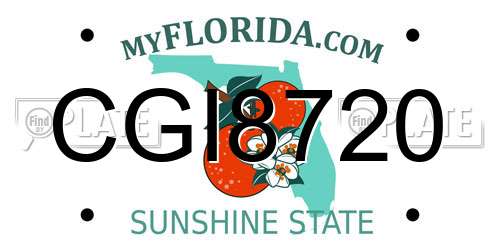 CGI8720 Florida License Plate