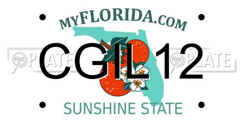 CGIL12 Florida License Plate