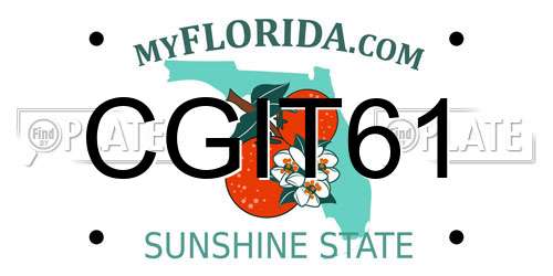 CGIT61 Florida License Plate