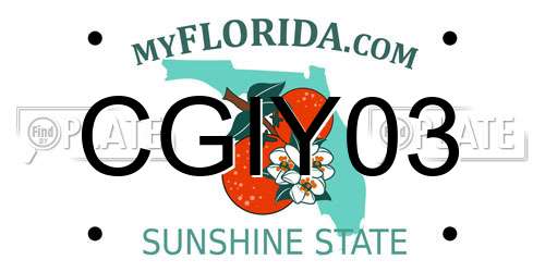 CGIY03 Florida License Plate