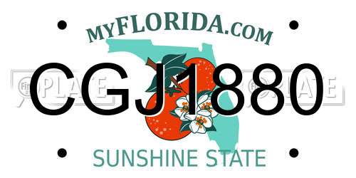 CGJ1880 Florida License Plate
