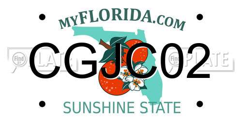 CGJC02 Florida License Plate