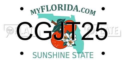 CGJT25 Florida License Plate