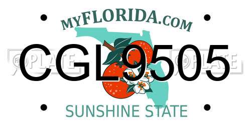 CGL9505 Florida License Plate