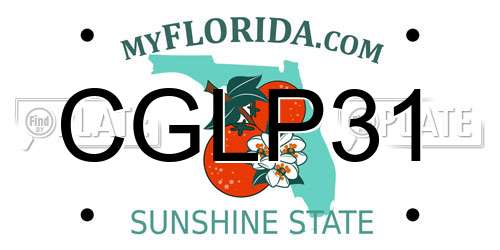 CGLP31 Florida License Plate