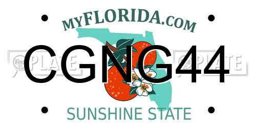 CGNG44 Florida License Plate