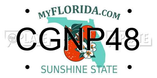 CGNP48 Florida License Plate