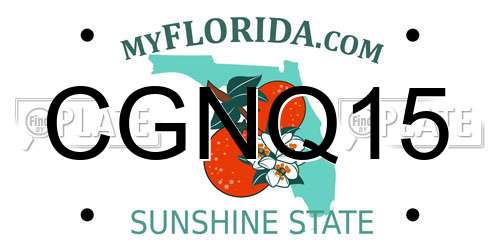 CGNQ15 Florida License Plate