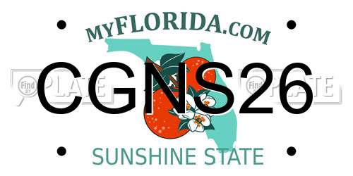 CGNS26 Florida License Plate