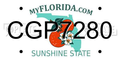 CGP7280 Florida License Plate