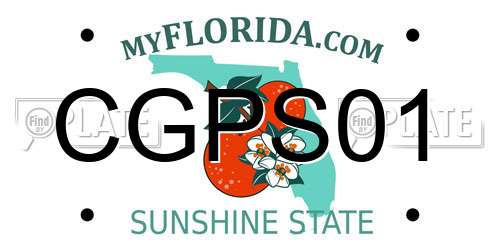 CGPS01 Florida License Plate