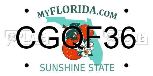 CGQF36 Florida License Plate