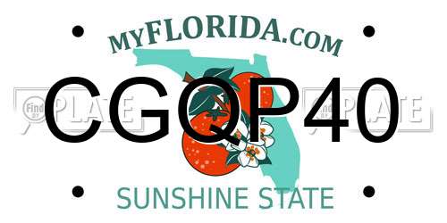 CGQP40 Florida License Plate