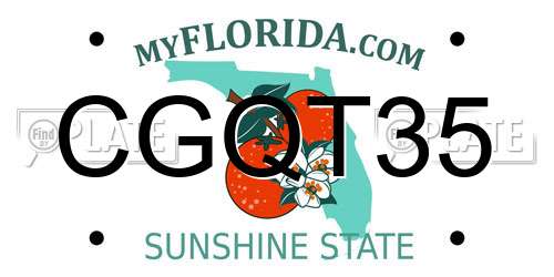 CGQT35 Florida License Plate