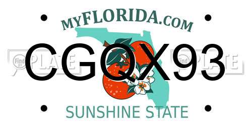 CGQX93 Florida License Plate