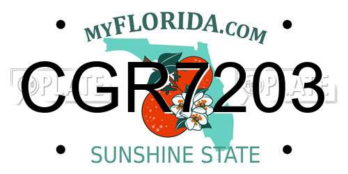 CGR7203 Florida License Plate