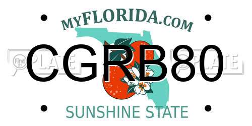 CGRB80 Florida License Plate