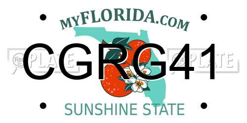 CGRG41 Florida License Plate
