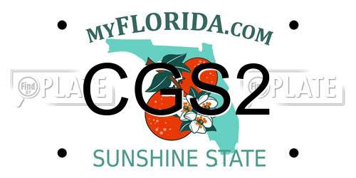 CGS2 Florida License Plate
