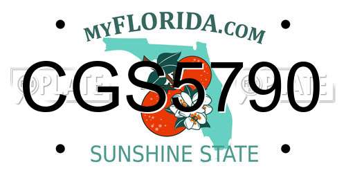 CGS5790 Florida License Plate
