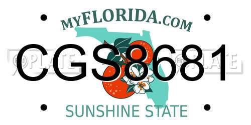 CGS8681 Florida License Plate