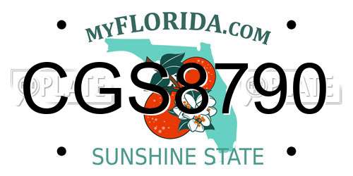 CGS8790 Florida License Plate