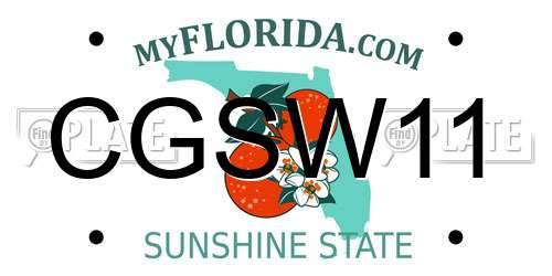 CGSW11 Florida License Plate