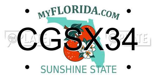 CGSX34 Florida License Plate