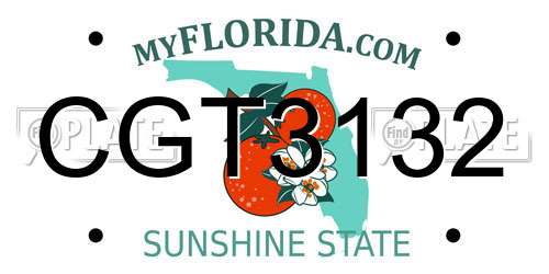 CGT3132 Florida License Plate