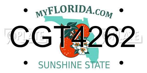 CGT4262 Florida License Plate