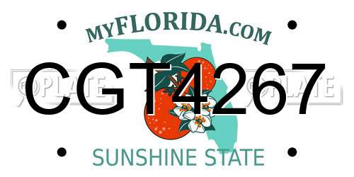 CGT4267 Florida License Plate