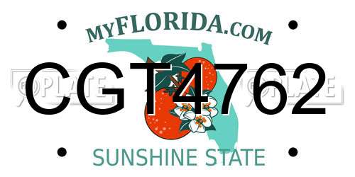 CGT4762 Florida License Plate
