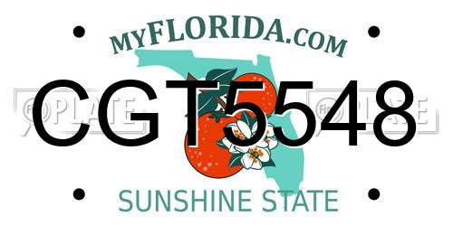 CGT5548 Florida License Plate