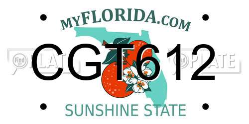 CGT612 Florida License Plate