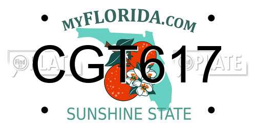 CGT617 Florida License Plate