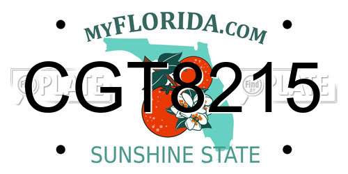 CGT8215 Florida License Plate
