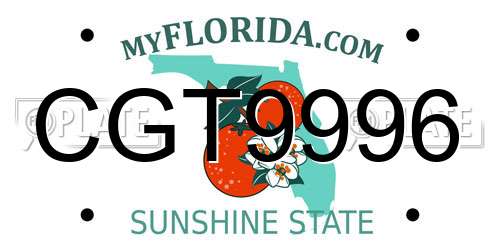 CGT9996 Florida License Plate