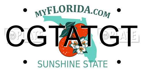 CGTATGT Florida License Plate