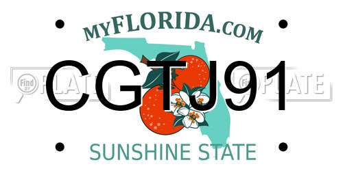 CGTJ91 Florida License Plate