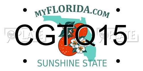 CGTQ15 Florida License Plate