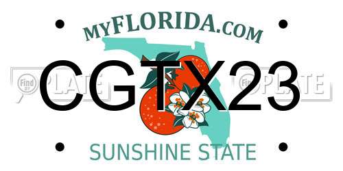 CGTX23 Florida License Plate