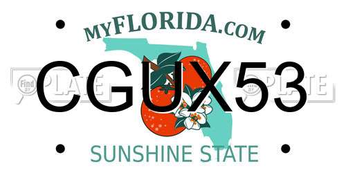 CGUX53 Florida License Plate