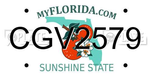 CGV2579 Florida License Plate