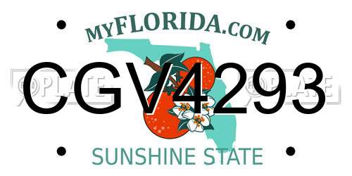 CGV4293 Florida License Plate