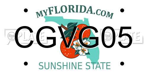 CGVG05 Florida License Plate