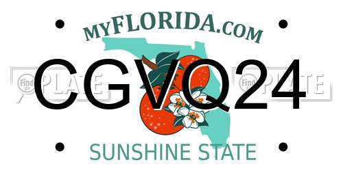 CGVQ24 Florida License Plate