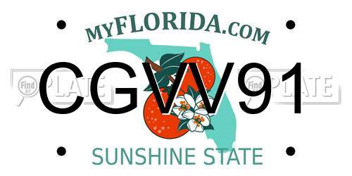 CGVV91 Florida License Plate