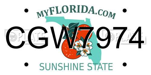 CGW7974 Florida License Plate